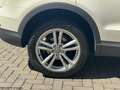 Audi Q3 Q3 2.0 TDI 140 CV ADVANCED Bianco - thumbnail 7