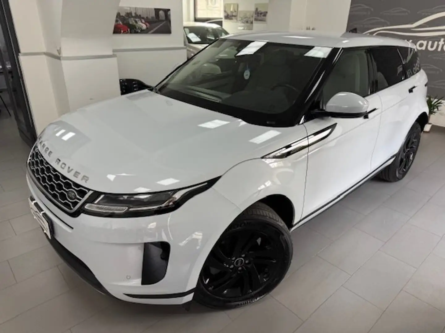 Land Rover Range Rover Evoque 2.0d i4 mhev Business Edition awd 150cv auto Bianco - 1