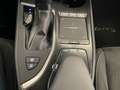 Lexus UX 250h 2.0 Business Grau - thumbnail 40