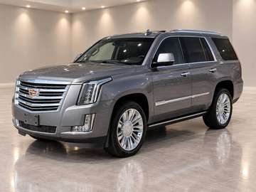 Platinum