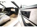 Pontiac Firebird Firebird 5.0 FV 87 Form Hardt Wit - thumbnail 19