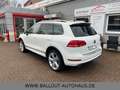 Volkswagen Touareg V8 TDI Exclusive*2.HAND*PANO*R-LINE*AHK* Bianco - thumbnail 7
