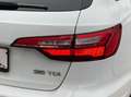 Audi A4 Av.35 TDI S-Tr. adv.ACC DAB Lane LED Side ACC Weiß - thumbnail 12
