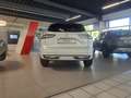 Nissan Qashqai e-Power 1.5 VC-T N-Design HUD Panorama Navi Memory Weiß - thumbnail 8