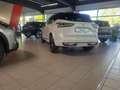 Nissan Qashqai e-Power 1.5 VC-T N-Design HUD Panorama Navi Memory Weiß - thumbnail 6