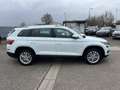 Skoda Kodiaq 2.0 TDI 190ch STYLE 4x4 DSG7 1erMain Cuir GPS Caméra CarPlay Blanc - thumbnail 7