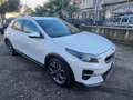 Kia XCeed 1.0 T-GDi Style Blanco - thumbnail 1