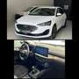 Ford Focus Turnier EcoBlue Titanium X FACELIFT /NAVI /KAMERA Weiß - thumbnail 1