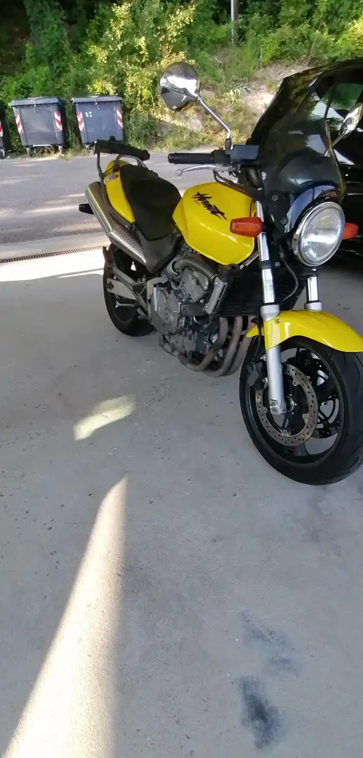 Honda Hornet Hornet 600 Giallo - 1