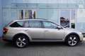 Skoda Octavia Combi Scout 4x4 Automatik/Pano/AHK/Euro6 Beige - thumbnail 7