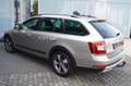 Skoda Octavia Combi Scout 4x4 Automatik/Pano/AHK/Euro6 Beige - thumbnail 6
