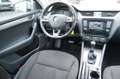 Skoda Octavia Combi Scout 4x4 Automatik/Pano/AHK/Euro6 Beige - thumbnail 15
