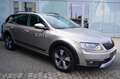 Skoda Octavia Combi Scout 4x4 Automatik/Pano/AHK/Euro6 Beige - thumbnail 1