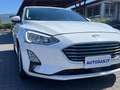 Ford Focus 1.0 EcoBoost 100 CV 5p. Plus Blanc - thumbnail 10