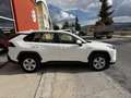 Toyota RAV 4 2.5 hybrid 4WD Advance Weiß - thumbnail 5