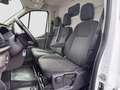 Ford Transit Kasten 2.0 TDCi L3H2 350 Trend Kamera/STH/uvm - thumbnail 12