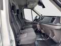 Ford Transit Kasten 2.0 TDCi L3H2 350 Trend Kamera/STH/uvm - thumbnail 16