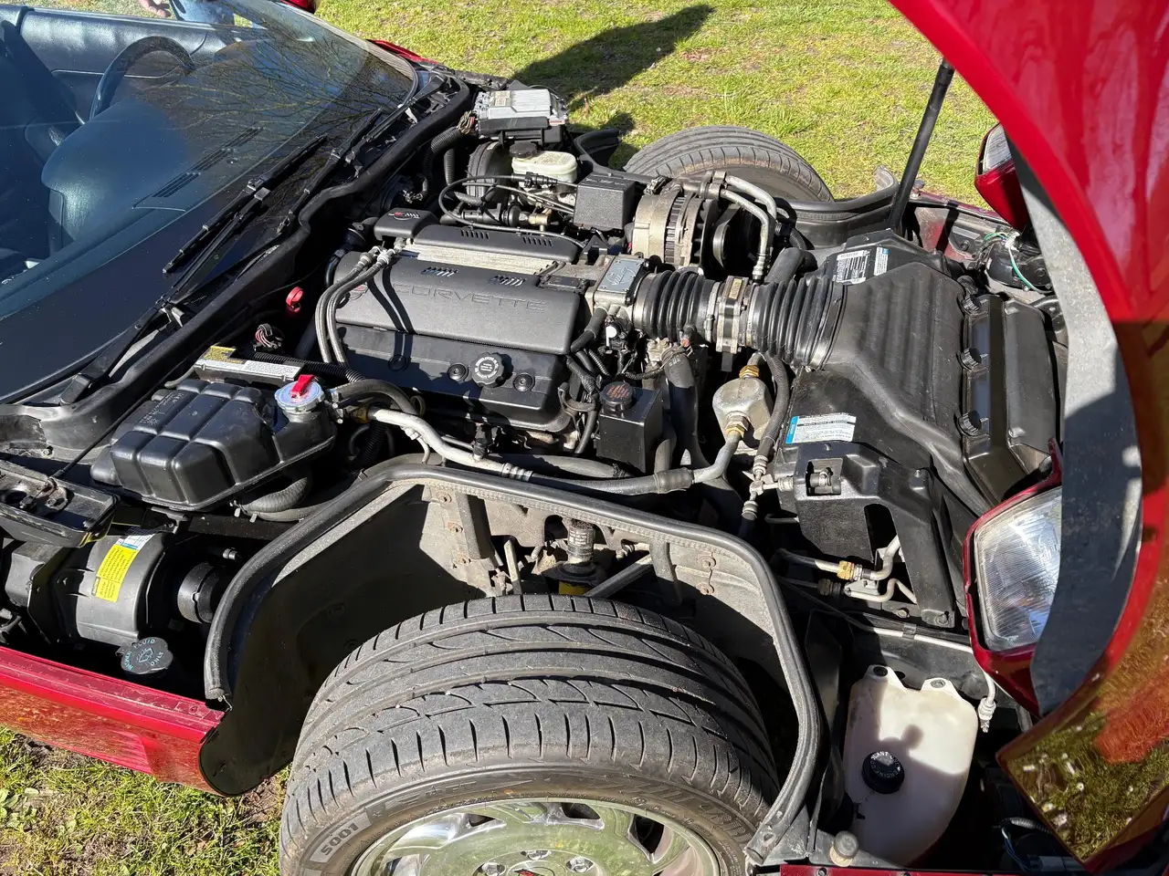 Chevrolet Corvette C4, EU-Modell, LT1, Hardtop, technisch top, foto 9