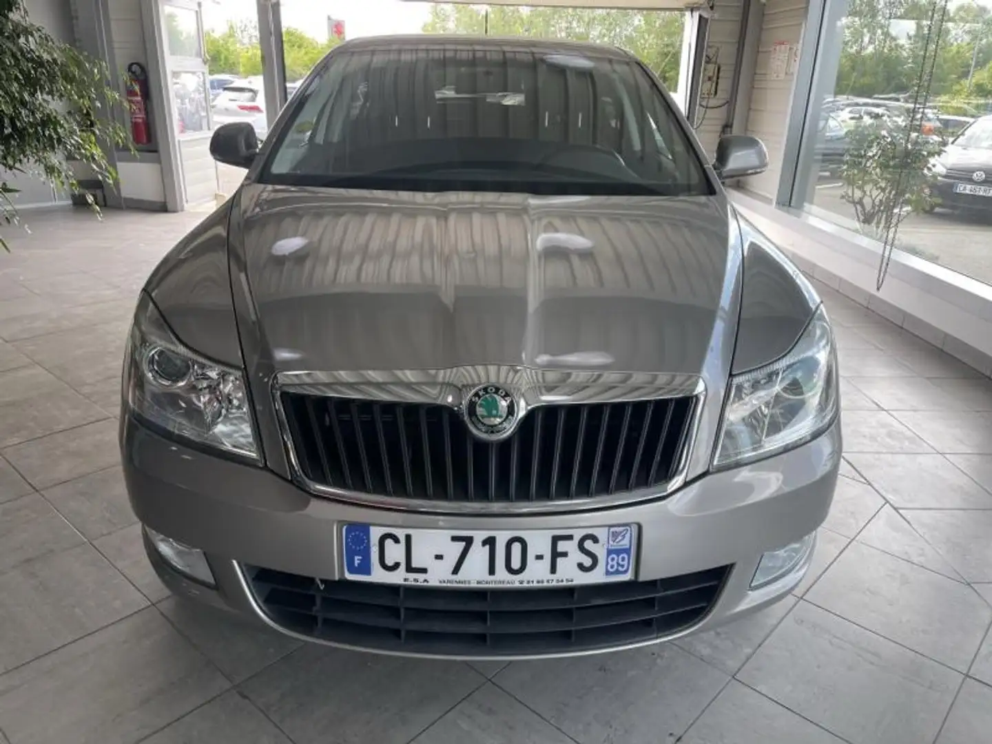 Skoda Octavia 1.6 TDI105 CR FAP Ambition 2 Beige - 2
