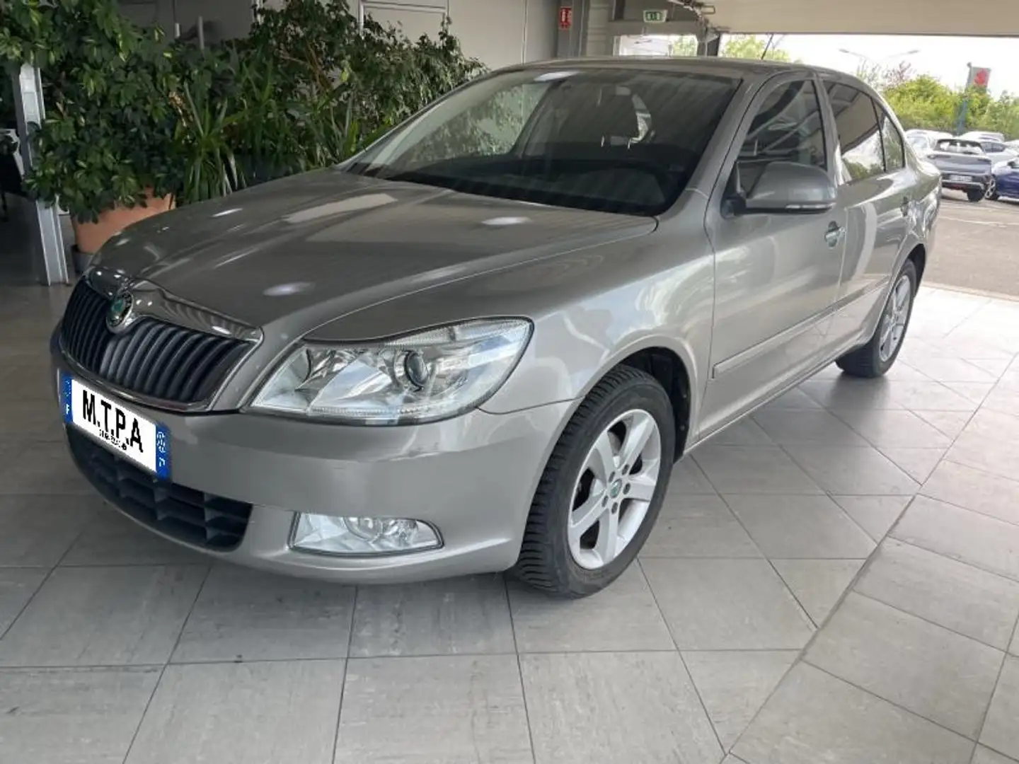Skoda Octavia 1.6 TDI105 CR FAP Ambition 2 Beige - 1