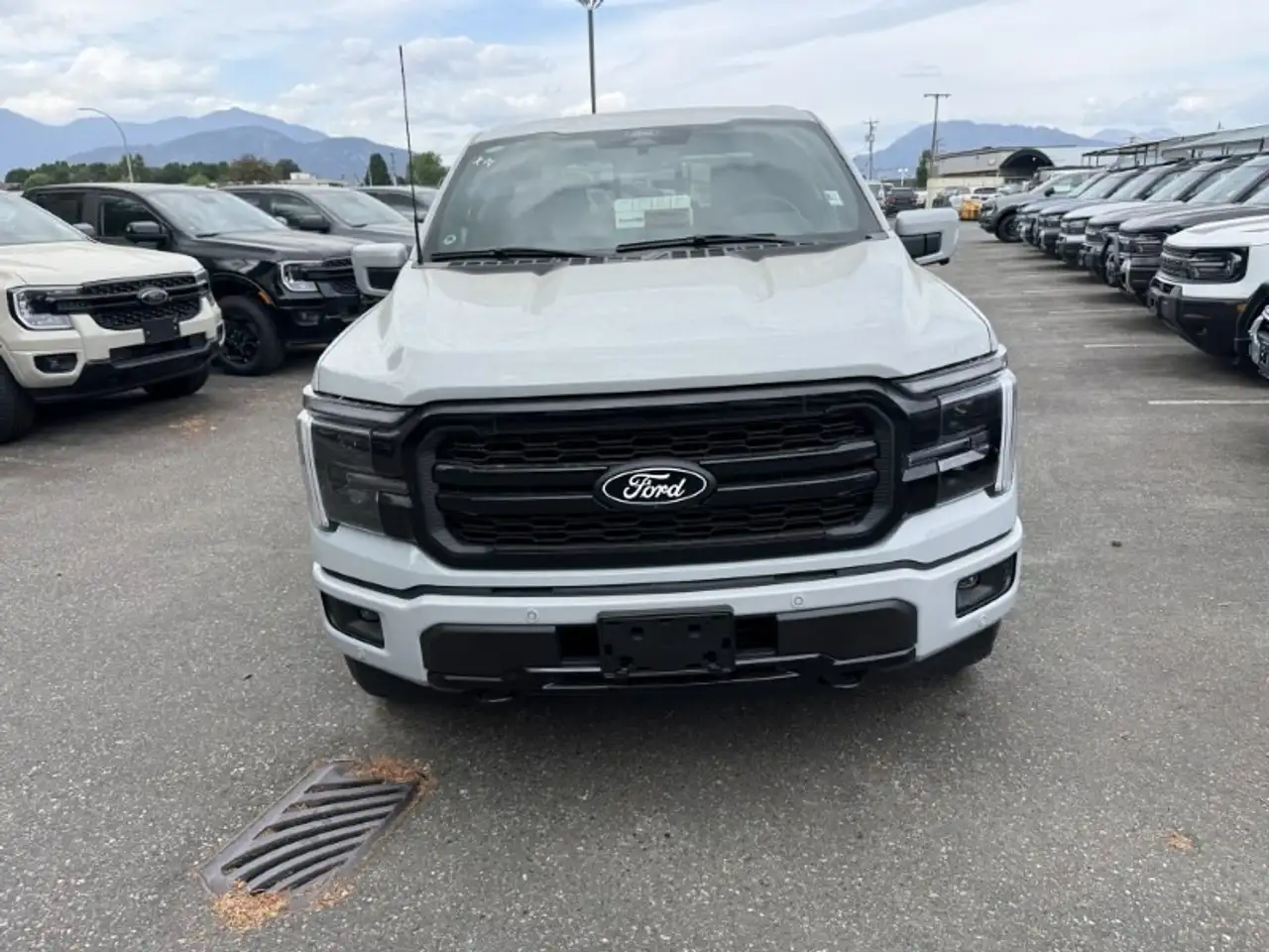 Ford F 150 photo Ford F 150