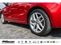 SEAT Ibiza FR 1.0 EcoTSI BEATS TEMPOMAT NAVI LED PDC Rot - thumbnail 6
