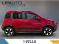 Fiat Panda 1.0 firefly hybrid s&s 70cv 5p.ti Rosso - thumbnail 3