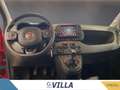 Fiat Panda 1.0 firefly hybrid s&s 70cv 5p.ti Rosso - thumbnail 8