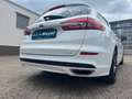 Ford Mondeo Turnier 2.0 EcoBlue AUT Titanium |AHK|ACC Blanc - thumbnail 13