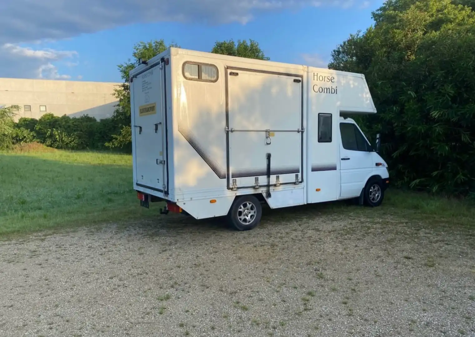 Mercedes-Benz Sprinter Trasporto Cavalli - 1