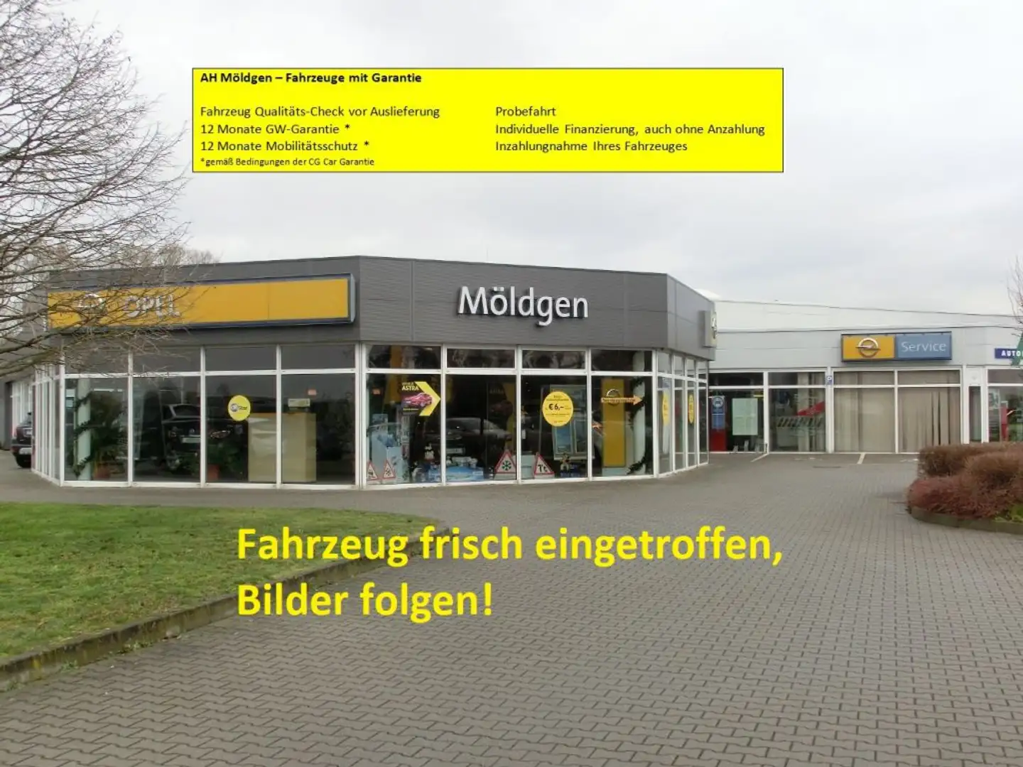 Opel Insignia 1.6 Innovation Xenon RFK Sitz-/LR-Heizung Grün - 1