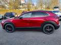Mazda CX-30 e-Skyactive G140 Homura Automatik AKTION-KURZZU... Rot - thumbnail 6