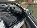 Audi A3 1,4 TFSI Cabriolet attraction,Sitzh,PDC Blanco - thumbnail 9
