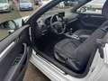 Audi A3 1,4 TFSI Cabriolet attraction,Sitzh,PDC Blanco - thumbnail 8