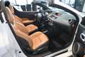 Renault Wind 1.2 TCE Exception Cabrio Airco Cruise Control PDC Weiß - thumbnail 7