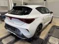 CUPRA Leon 1.5eTSI DSG Assist XL Navi Voll-LED Weiß - thumbnail 5