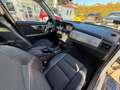 Mercedes-Benz GLK 220 CDI Stand 4Mat. Bi-Xen Nav Ahk PDC 8fach Weiß - thumbnail 17