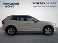 Volvo XC60 B5 D AWD Momentum Pro Geartronic Blanc - thumbnail 5