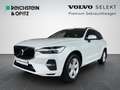 Volvo XC60 B5 D AWD Momentum Pro Geartronic Blanc - thumbnail 1