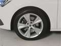 SEAT Leon Sportstourer 2.0 TDI FR NAV/LED/Virt./RFK Weiß - thumbnail 5