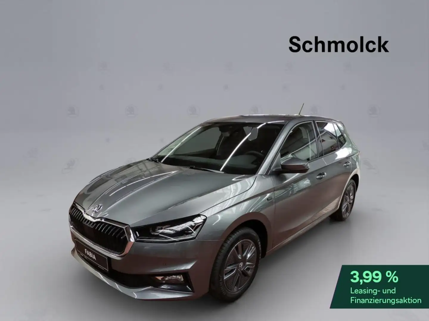 Skoda Fabia Tour 1.0 TSI DSG ACC LED DAB RFK Grau - 1