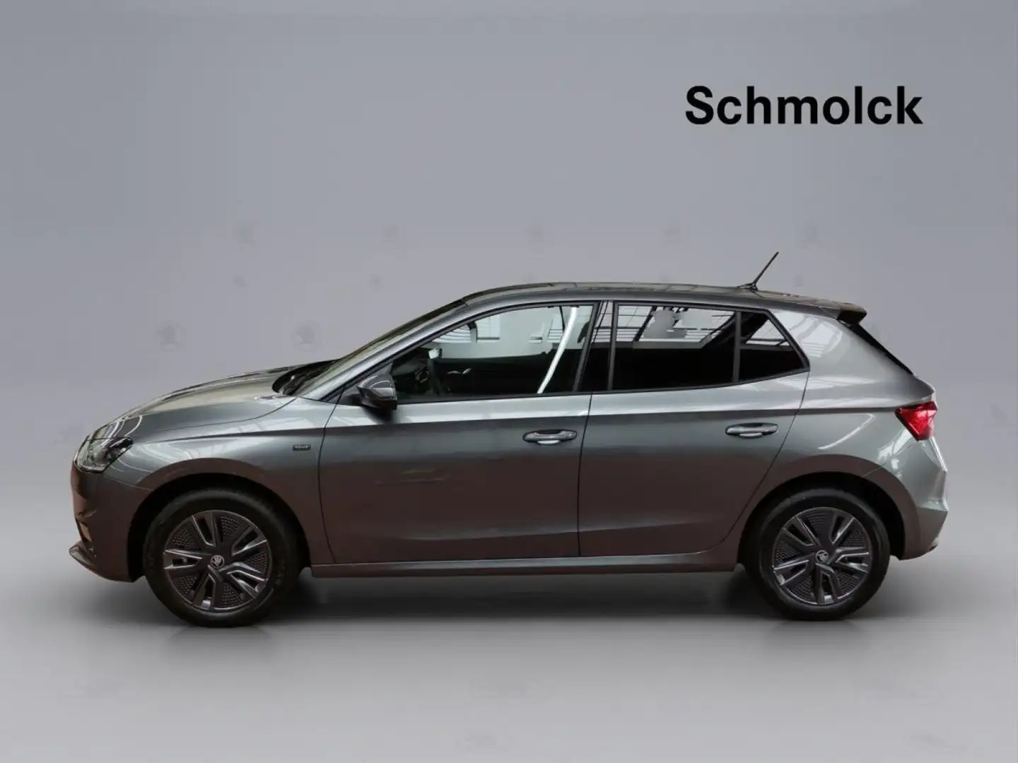 Skoda Fabia Tour 1.0 TSI DSG ACC LED DAB RFK Grau - 2