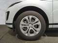 Land Rover Range Rover Evoque P300e S DAB TEMPOMAT PIVI PRO 18 Weiß - thumbnail 10
