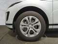 Land Rover Range Rover Evoque P300e S SITZHEIZUNG DAB PIVI PRO 18 Weiß - thumbnail 10