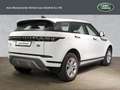 Land Rover Range Rover Evoque P300e S SITZHEIZUNG DAB PIVI PRO 18 Weiß - thumbnail 5