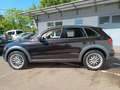 Audi Q5 3.0 TDI  quattro  Optik-Paket Off-Road  exclu Schwarz - thumbnail 8