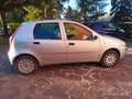 Fiat Punto 5p 1.2 Classic - thumbnail 3