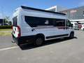 Pilote V 630 J-X edition Bianco - thumbnail 4