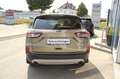 Ford Kuga 1,5 EcoBlue Titanium X Aut. Silber - thumbnail 4