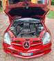 Mercedes-Benz SLK 200 kompressor R171 Rosso - thumbnail 13